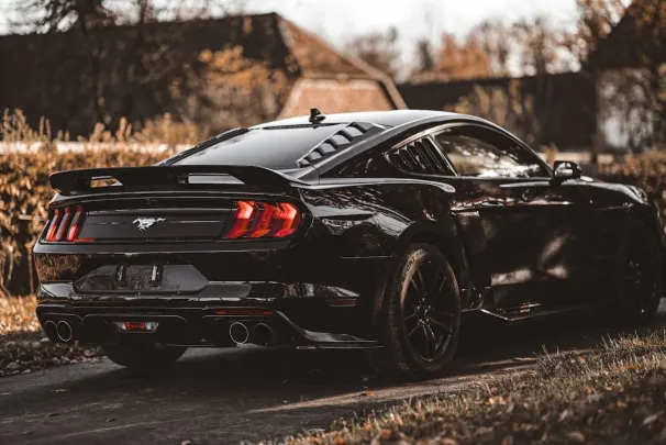 Bizz Casino Aplicación Android/iOS